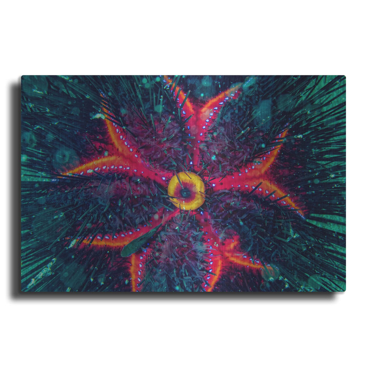 'Sea Urchin Underwater' by Luxe Metal Portfolio – Metal Wall Art