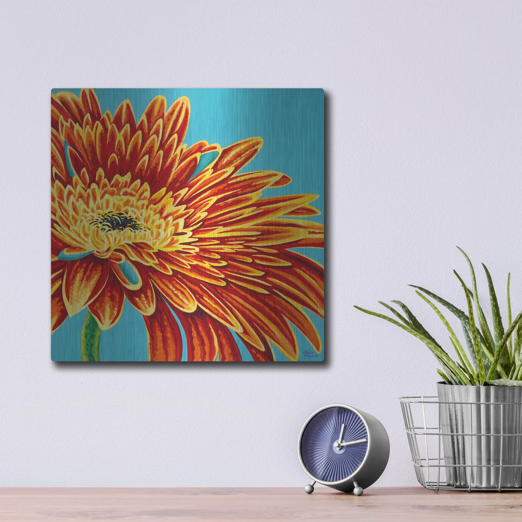 'Color Bursts I' by Carolee Vitaletti – Metal Wall Art, 12x12 room view