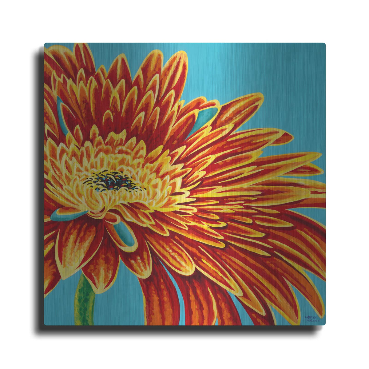 'Color Bursts I' by Carolee Vitaletti – Metal Wall Art