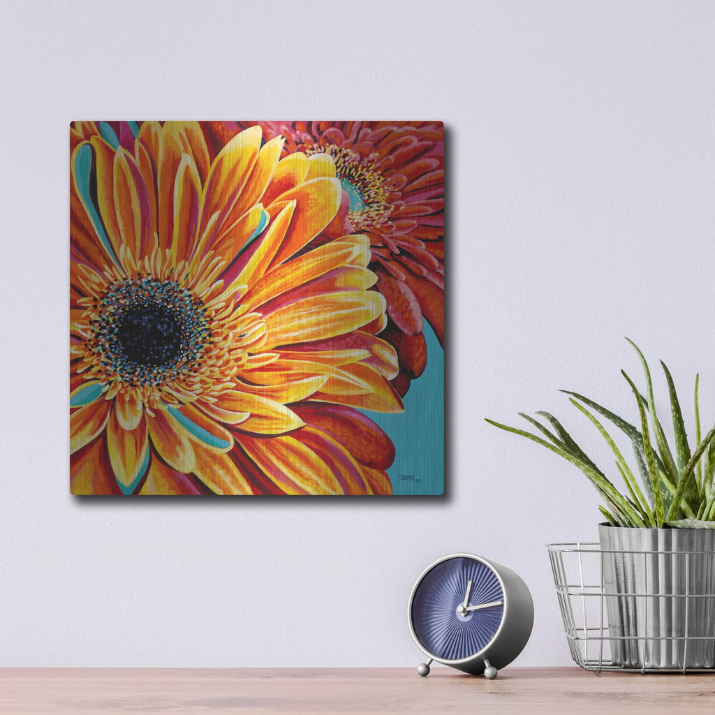 'Color Bursts II' by Carolee Vitaletti – Metal Wall Art, 12x12 room view