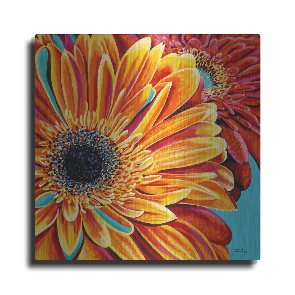 'Color Bursts II' by Carolee Vitaletti – Metal Wall Art