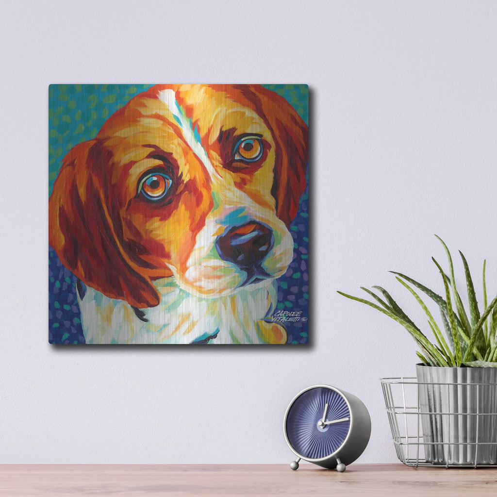 'Dogs in Color II' by Carolee Vitaletti – Metal Wall Art, 12x12 room view