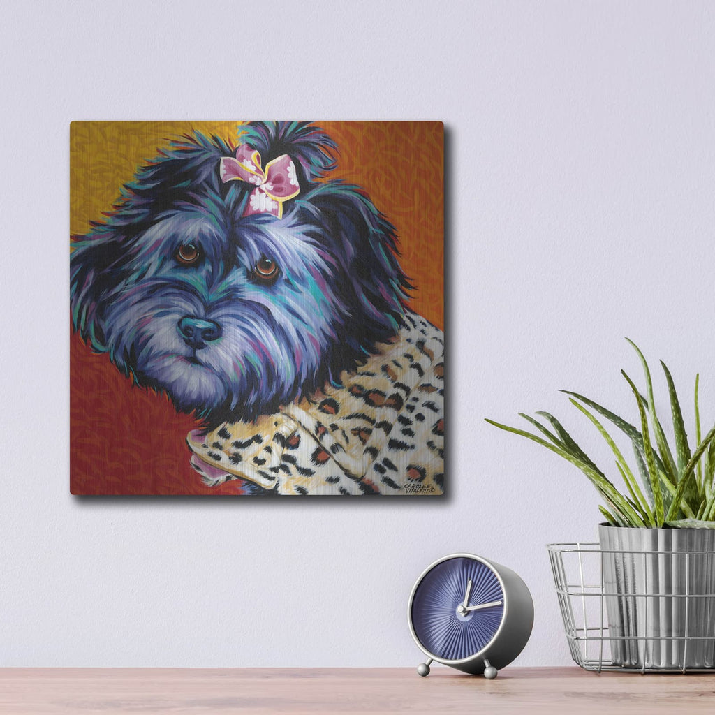 'Cute Pups III' by Carolee Vitaletti – Metal Wall Art, 12x12 room view