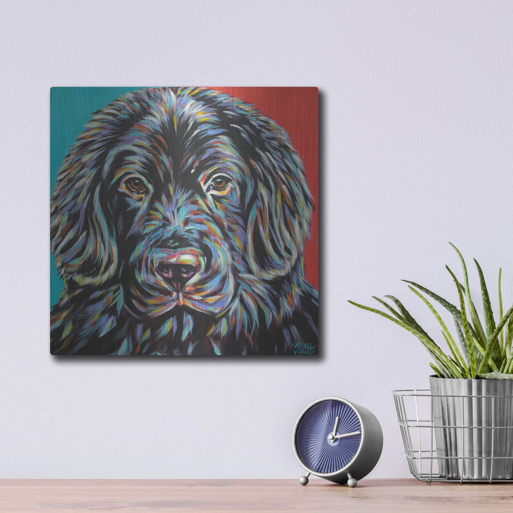 'Canine Buddy I' by Carolee Vitaletti – Metal Wall Art, 12x12 room view