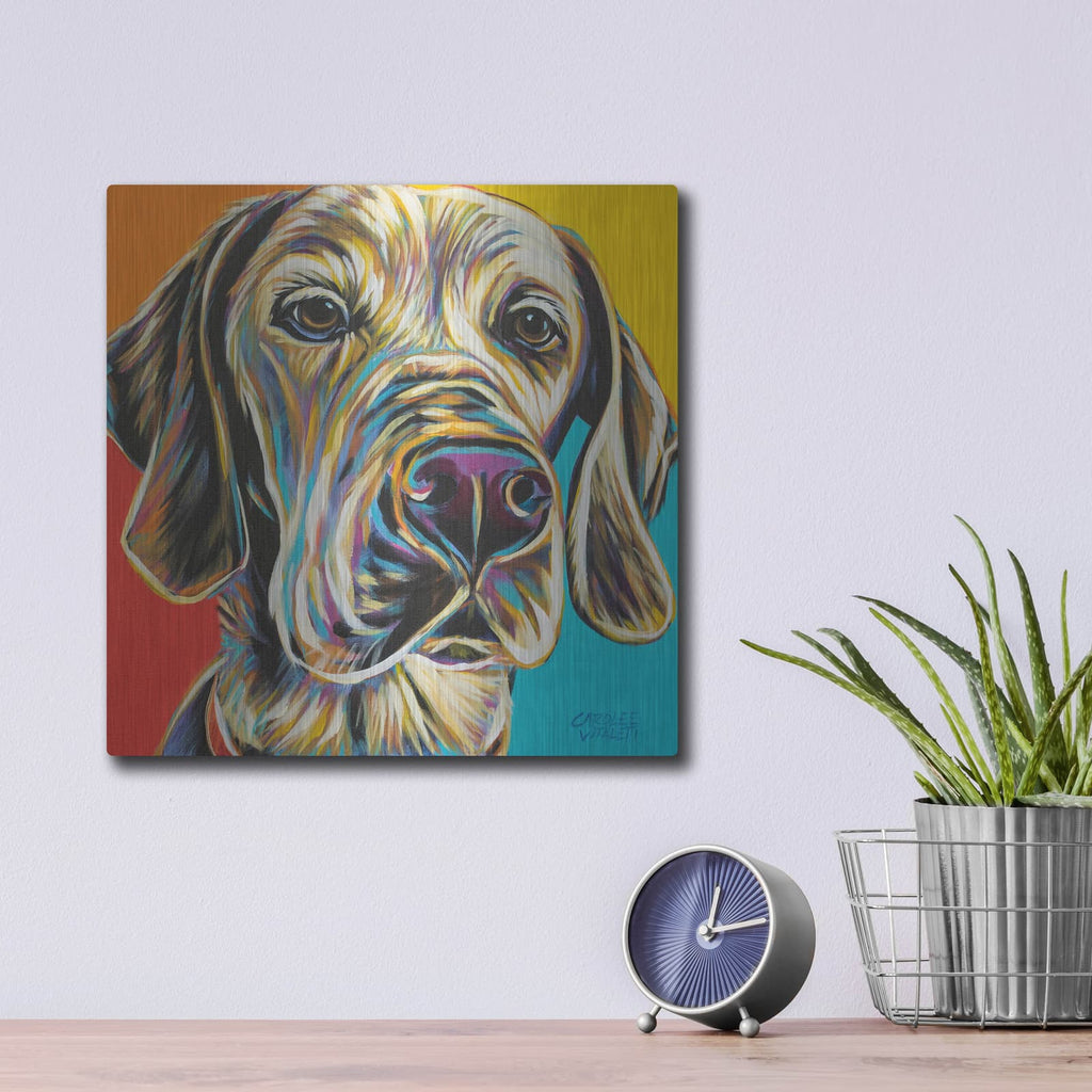 'Canine Buddy II' by Carolee Vitaletti – Metal Wall Art, 12x12 room view