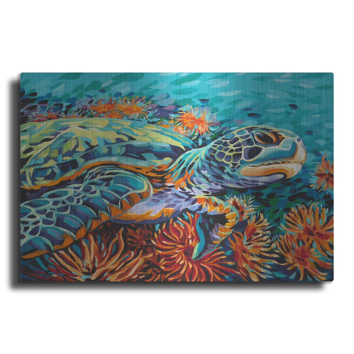 'Sea Sweetheart I' by Carolee Vitaletti – Metal Wall Art