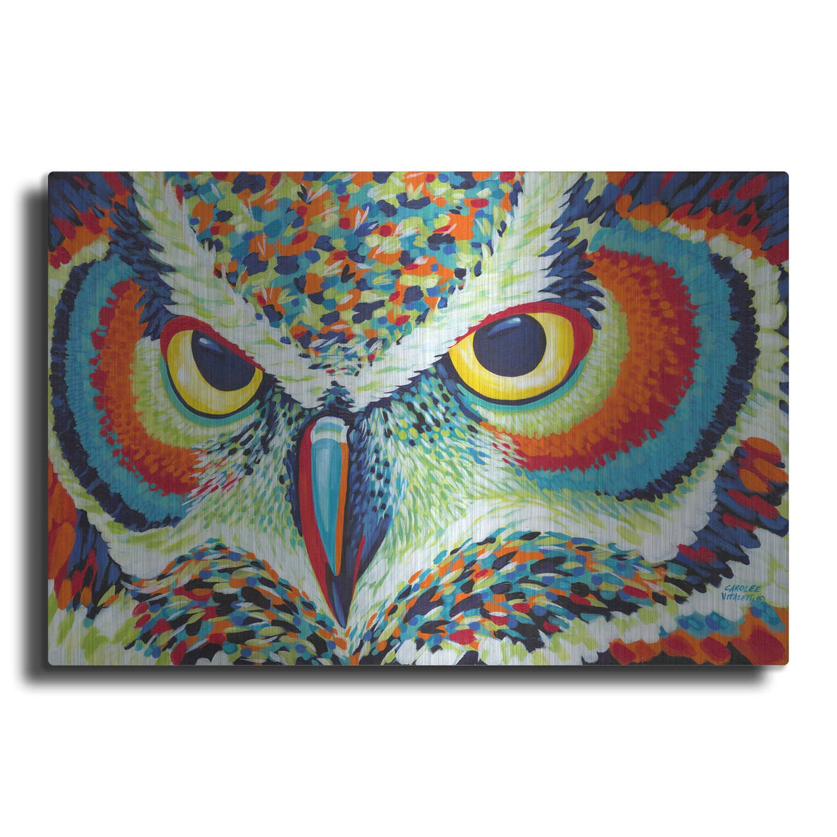 'Bright Eyes' by Carolee Vitaletti – Metal Wall Art