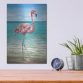 'Beach Walker Flamingo I' by Carolee Vitaletti – Metal Wall Art, 12x16 room view