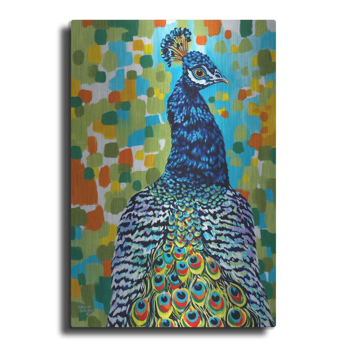 'Plumed Peacock II' by Carolee Vitaletti – Metal Wall Art