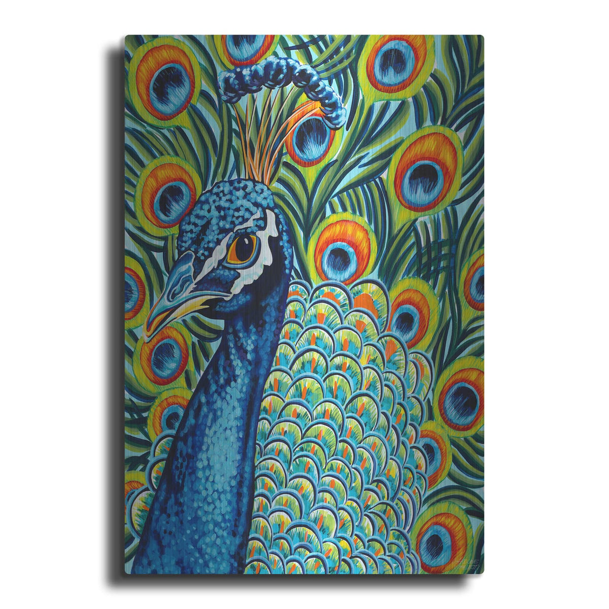 'Plumed Peacock I' by Carolee Vitaletti – Metal Wall Art