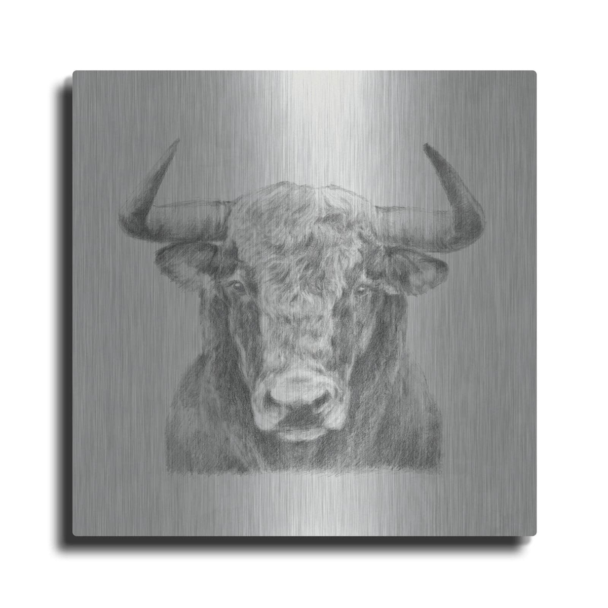 'Black and White Bull' by Ethan Harper – Metal Wall Art