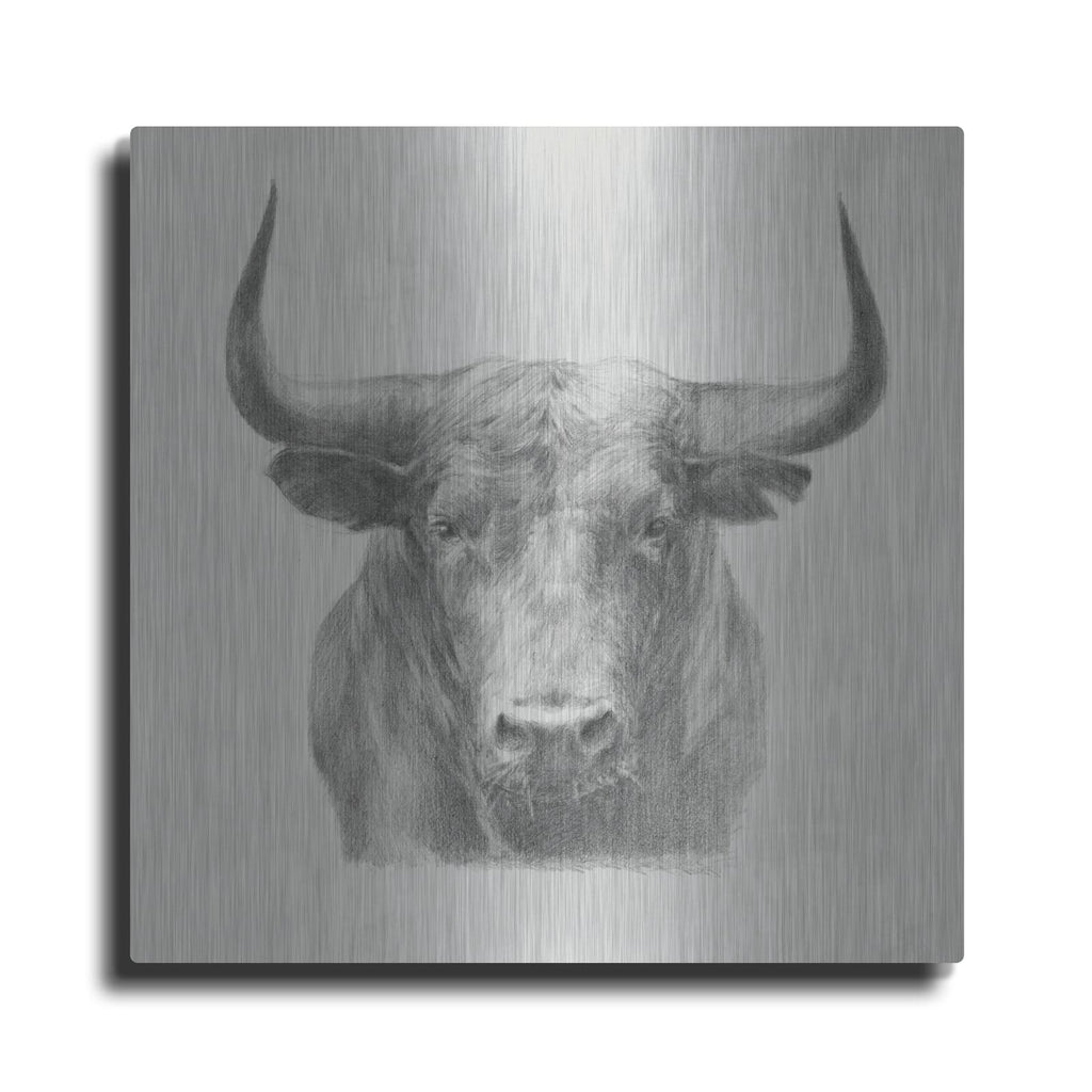 'Black Bull' by Ethan Harper – Metal Wall Art