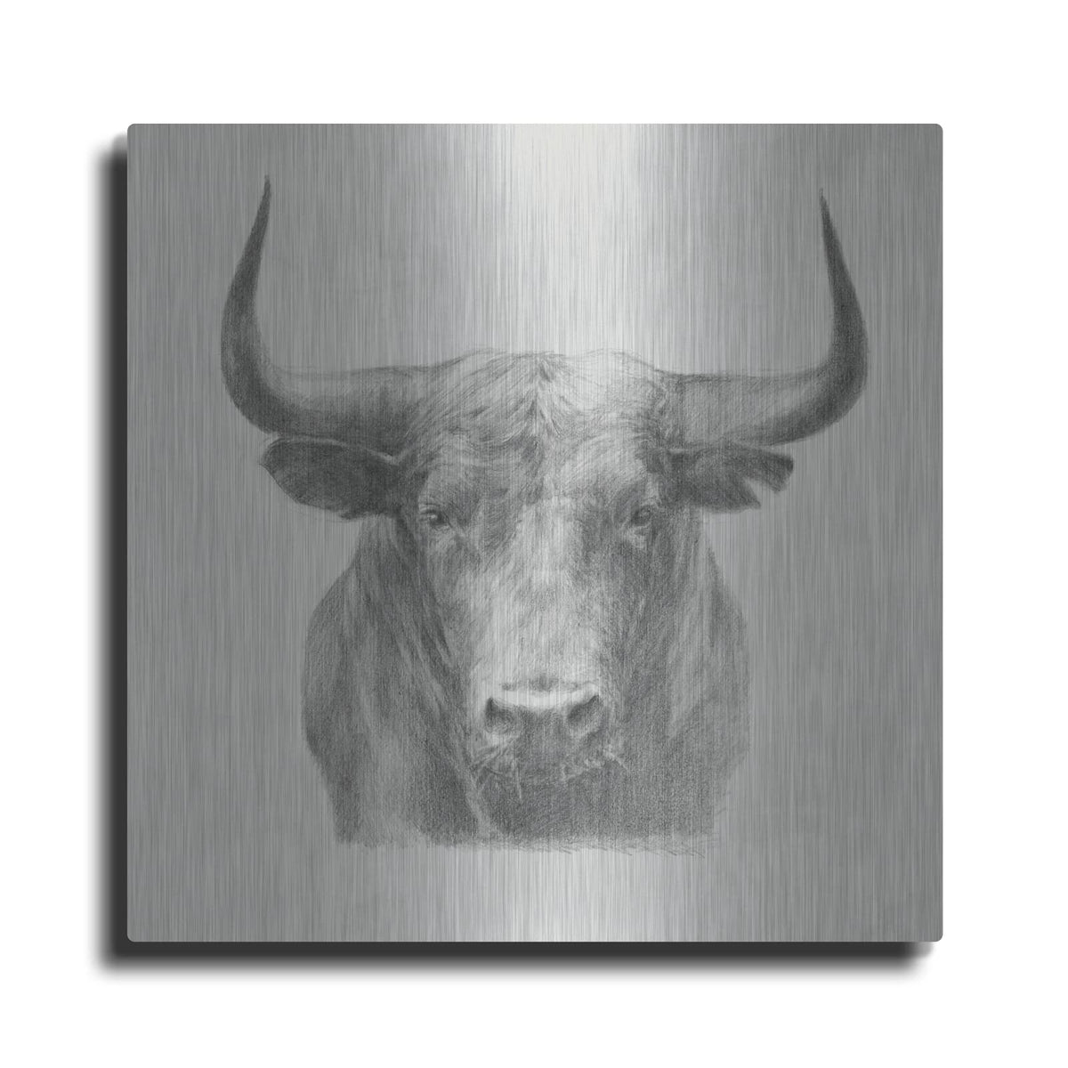 'Black Bull' by Ethan Harper – Metal Wall Art