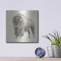'Western Bison Study' by Ethan Harper – Metal Wall Art, 12x12 room view