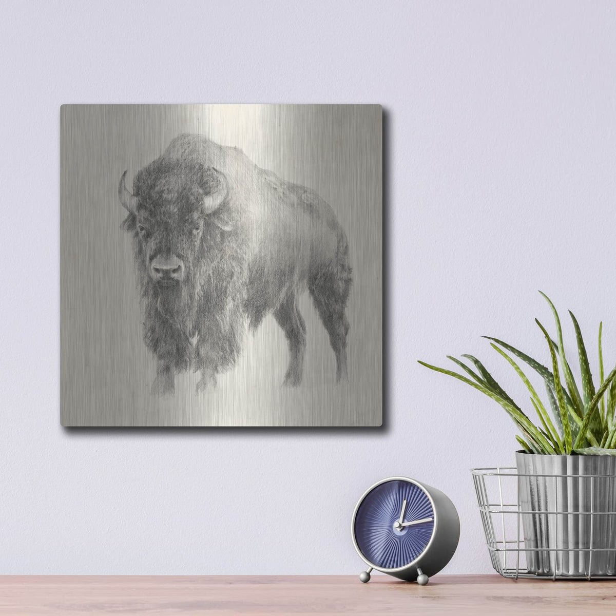 'Western Bison Study' by Ethan Harper – Metal Wall Art, 12x12 room view