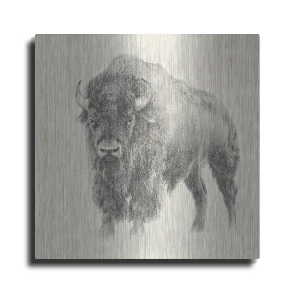 'Western Bison Study' by Ethan Harper – Metal Wall Art