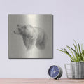 'Western Bear Study' by Ethan Harper – Metal Wall Art, 12x12 room view