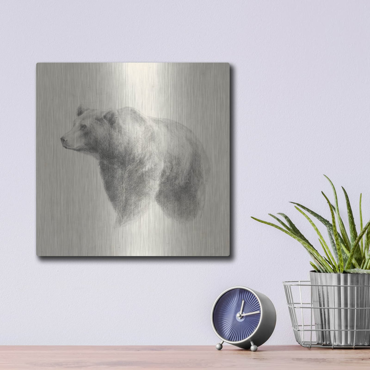 'Western Bear Study' by Ethan Harper – Metal Wall Art, 12x12 room view