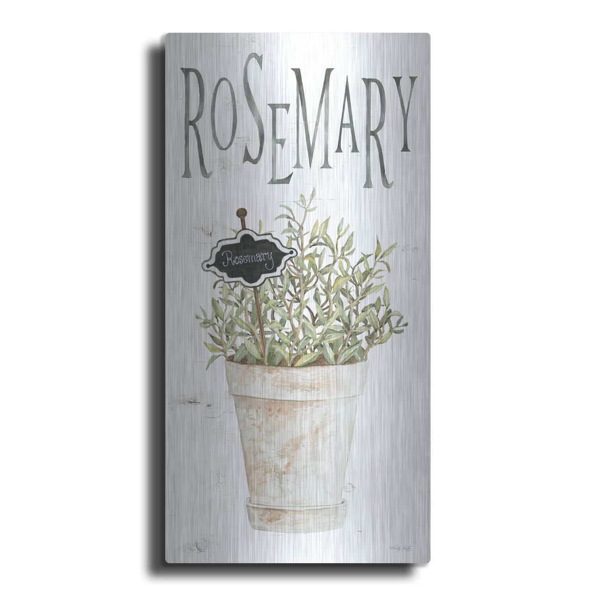 'Rosemary' by Cindy Jacobs – Metal Wall Art