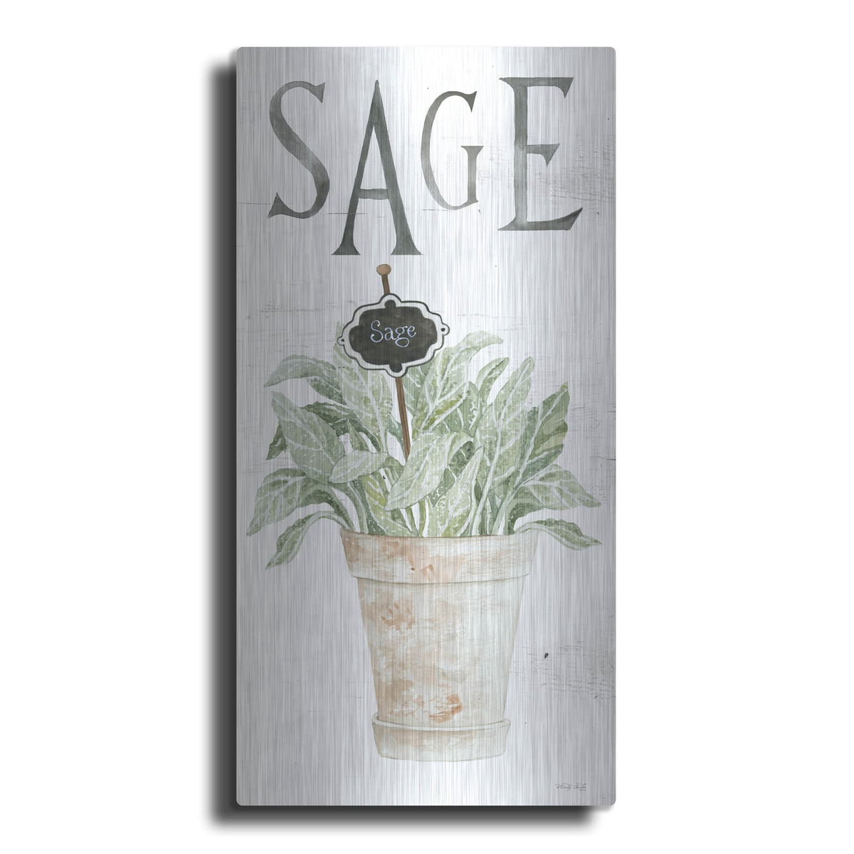 'Sage' by Cindy Jacobs – Metal Wall Art