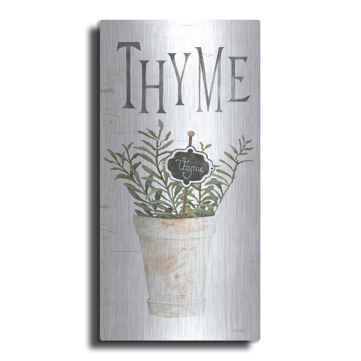 'Thyme' by Cindy Jacobs – Metal Wall Art