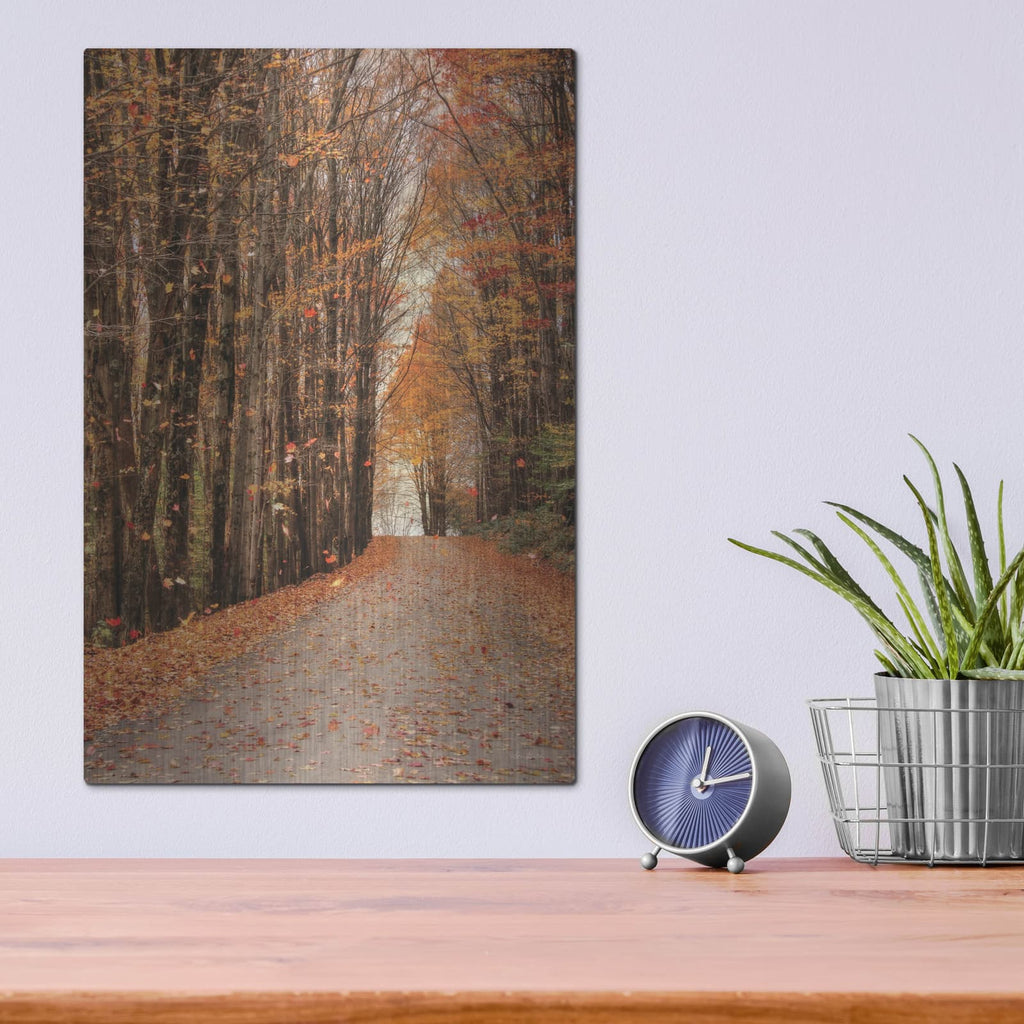 'Golden Boughs I' by Lori Deiter – Metal Wall Art, 12x16 room view