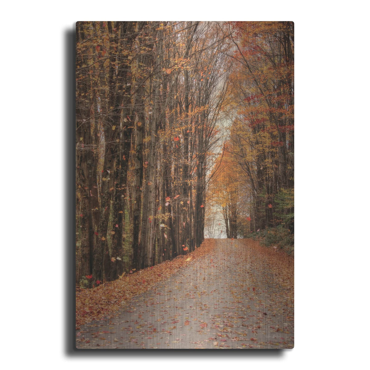 'Golden Boughs I' by Lori Deiter – Metal Wall Art