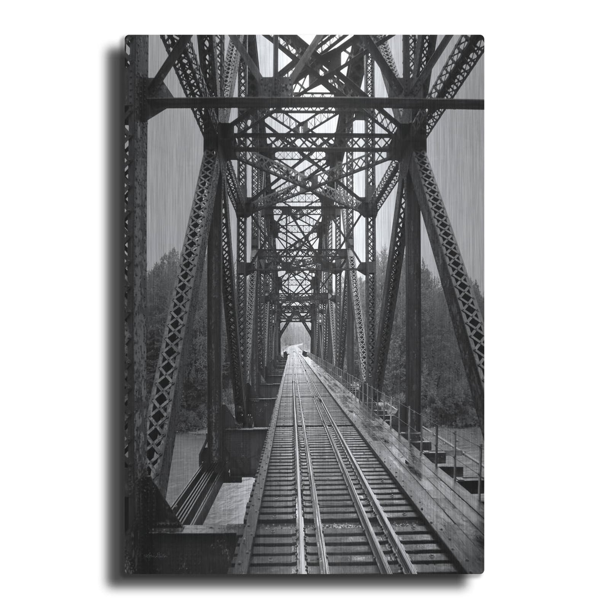 'The Alaskan Railroad' by Lori Deiter – Metal Wall Art