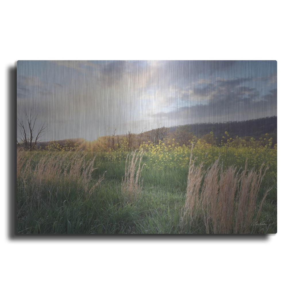 'Country Sunset' by Lori Deiter – Metal Wall Art