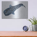 'Shark Whale 2' by Stellar Design Studio – Metal Wall Art, 16x12 room view
