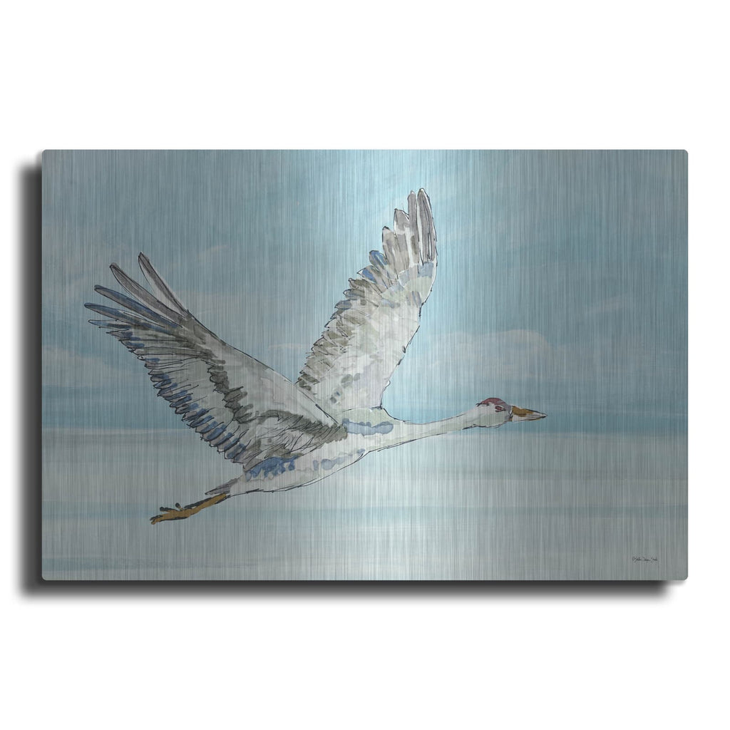 'In Flight 2' by Stellar Design Studio – Metal Wall Art