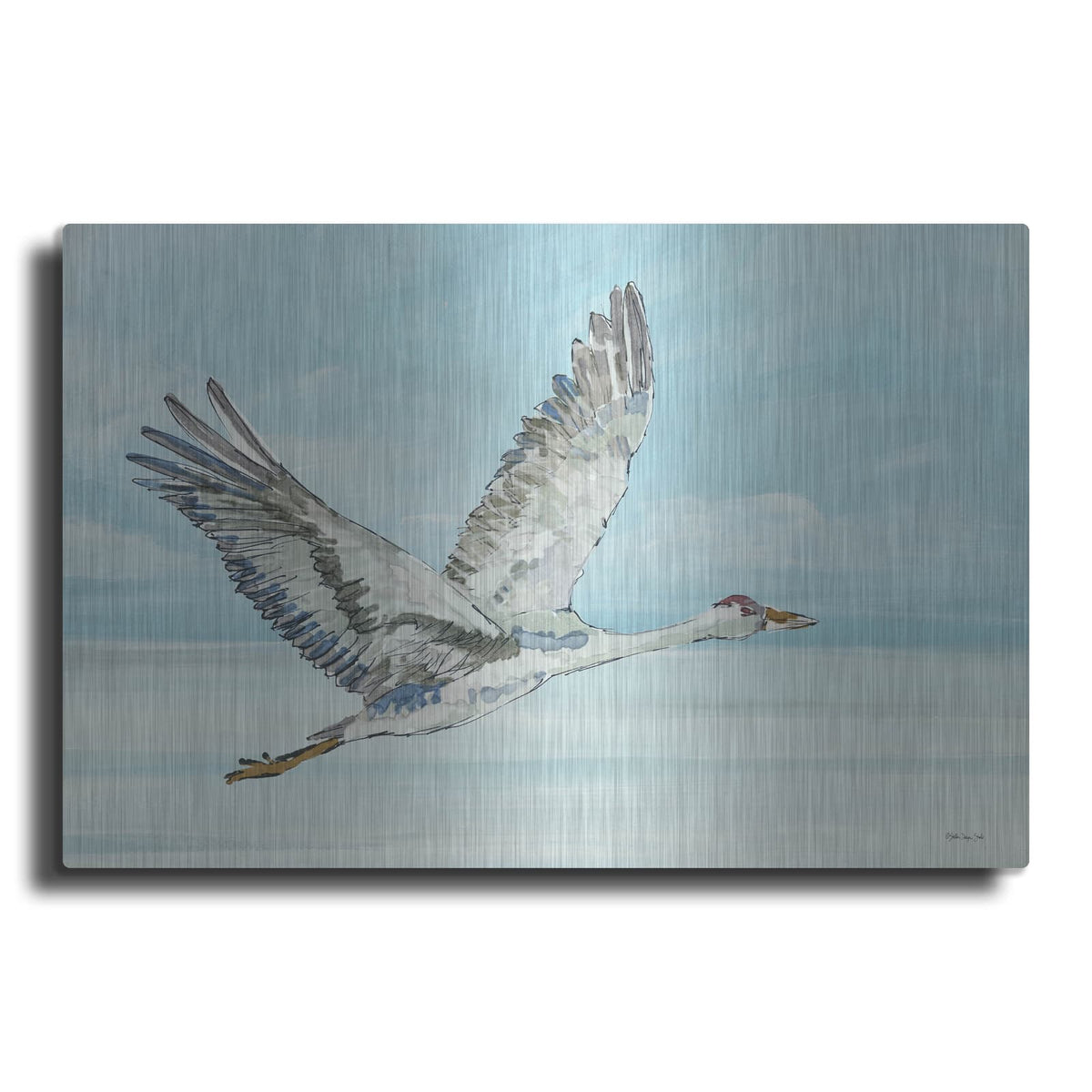 'In Flight 2' by Stellar Design Studio – Metal Wall Art