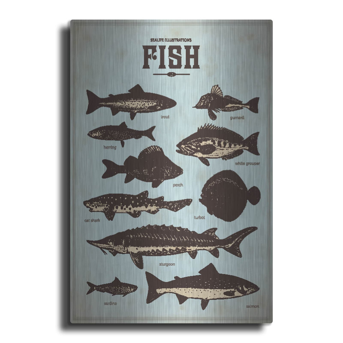 'Vintage Fish Poster' by Luxe Metal Portfolio – Metal Wall Art