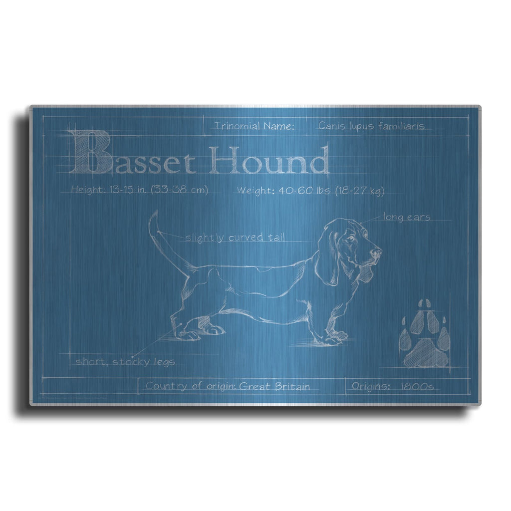 'Blueprint Basset Hound' by Ethan Harper – Metal Wall Art