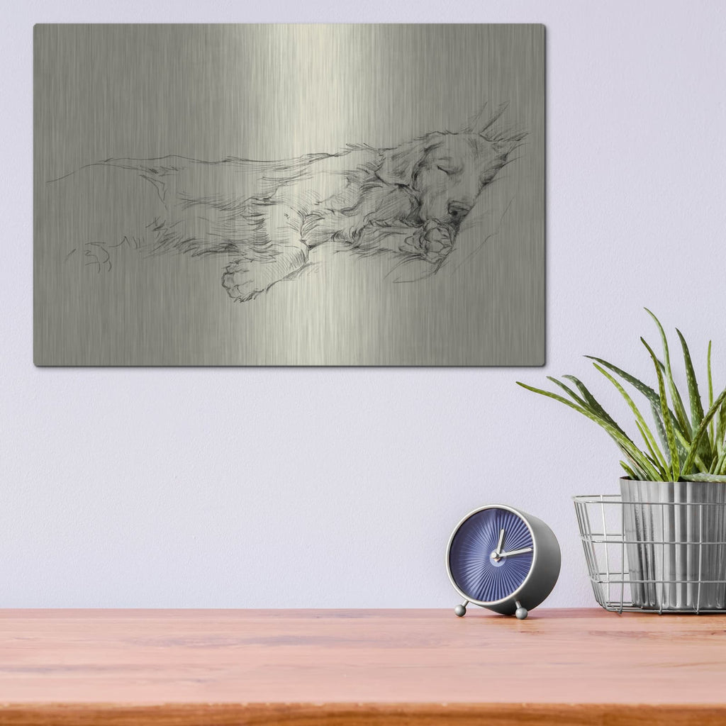 'Dog Days III' by Ethan Harper – Metal Wall Art, 16x12 room view