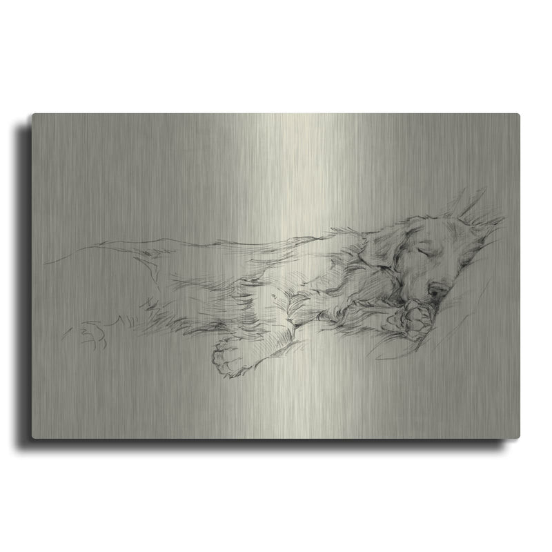 'Dog Days III' by Ethan Harper – Metal Wall Art