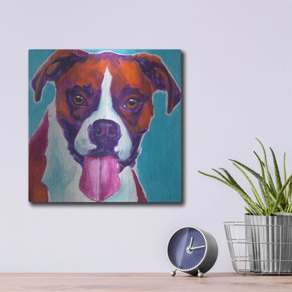 Luxe Metal Art 'Boxer - Lucy' by Dawg Painter, Metal Wall Art,12x12