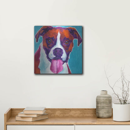 Luxe Metal Art 'Boxer - Lucy' by Dawg Painter, Metal Wall Art,12x12