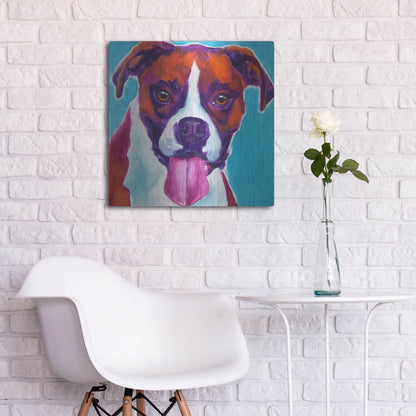 Luxe Metal Art 'Boxer - Lucy' by Dawg Painter, Metal Wall Art,24x24