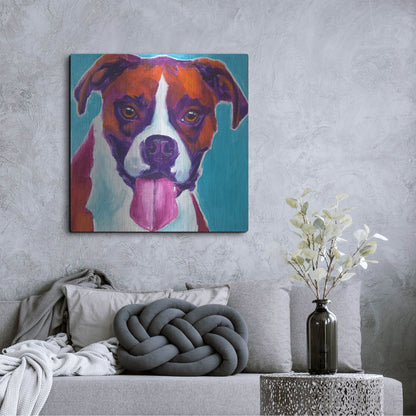 Luxe Metal Art 'Boxer - Lucy' by Dawg Painter, Metal Wall Art,36x36