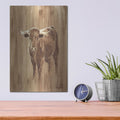 'Wood Panel Longhorn' by Ethan Harper – Metal Wall Art, 12x16 room view