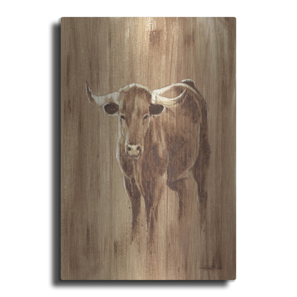 'Wood Panel Longhorn' by Ethan Harper – Metal Wall Art