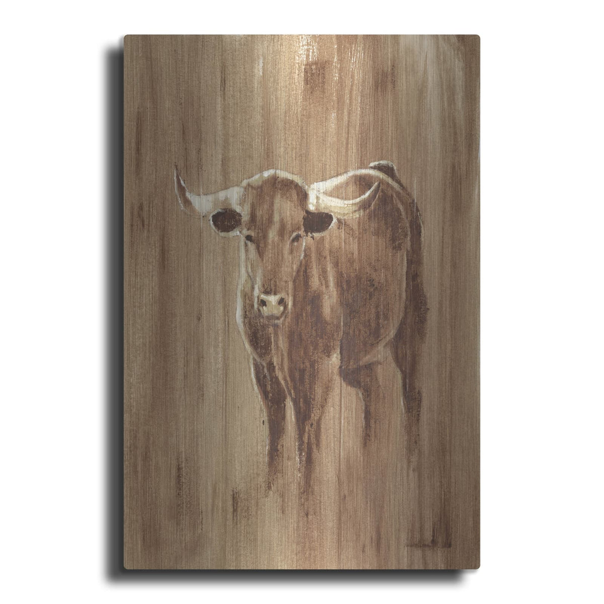 'Wood Panel Longhorn' by Ethan Harper – Metal Wall Art