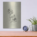 'Puppy Dog Eyes III' by Ethan Harper – Metal Wall Art, 12x16 room view