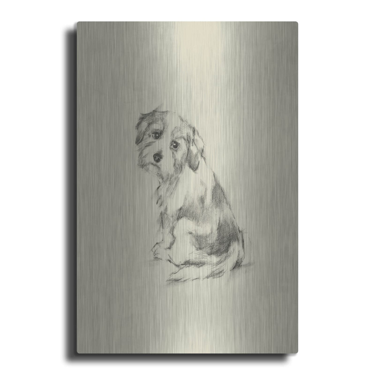 'Puppy Dog Eyes III' by Ethan Harper – Metal Wall Art
