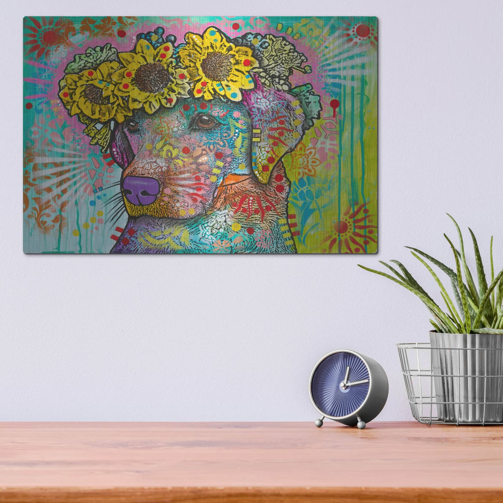 'Sunflower Lab' by Dean Russo – Metal Wall Art, 16x12 room view