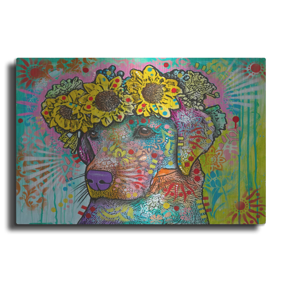 'Sunflower Lab' by Dean Russo – Metal Wall Art