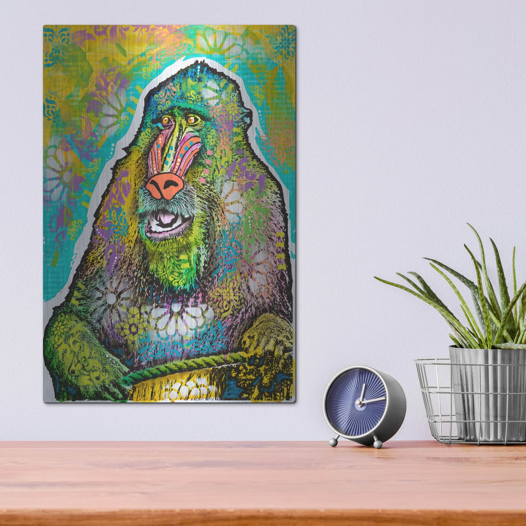 'Mandrill' by Dean Russo – Metal Wall Art, 12x16 room view