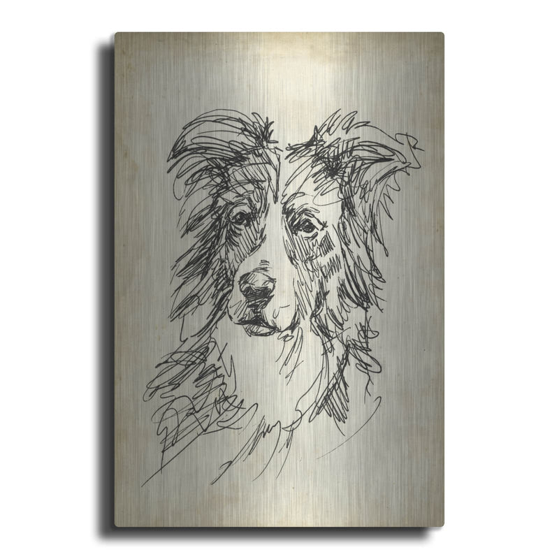 'Breed Studies 5' by Ethan Harper – Metal Wall Art