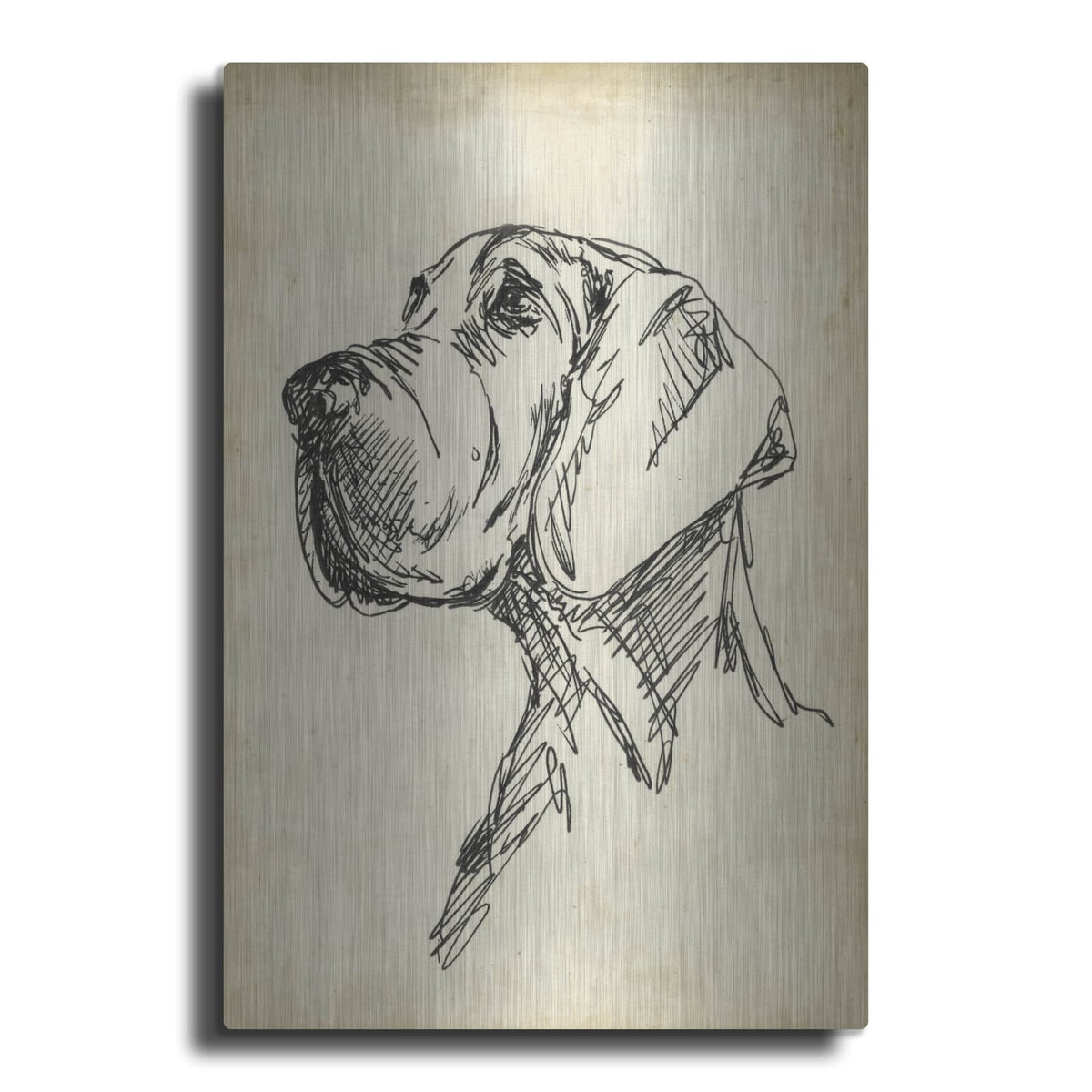 'Breed Studies 6' by Ethan Harper – Metal Wall Art